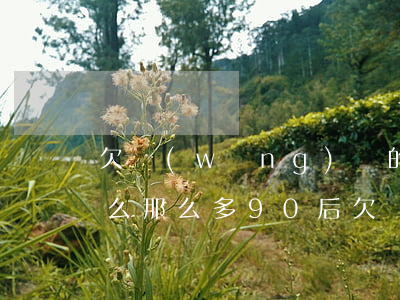 欠網(wǎng)貸的年輕人怎么想的(為什么那么多90后欠網(wǎng)貸)