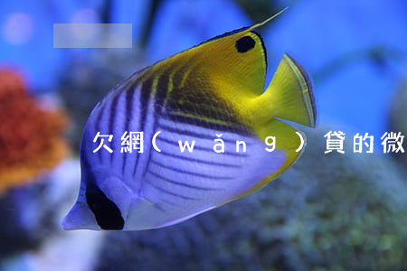 欠網(wǎng)貸的微信群有嗎