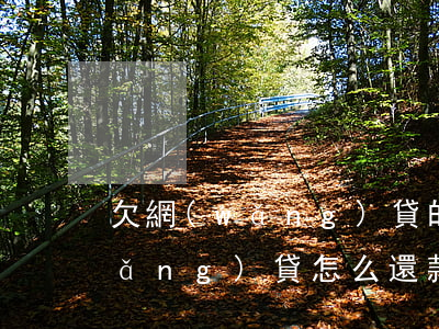欠網(wǎng)貸的日子怎么過(欠網(wǎng)貸怎么還款)