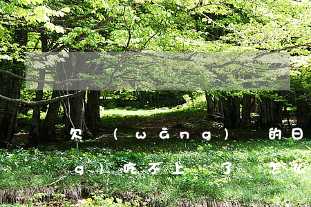 欠網(wǎng)貸的日子里已經(jīng)吃不上飯了該怎么去過-欠了好多網(wǎng)貸,現(xiàn)在連飯都吃不起了