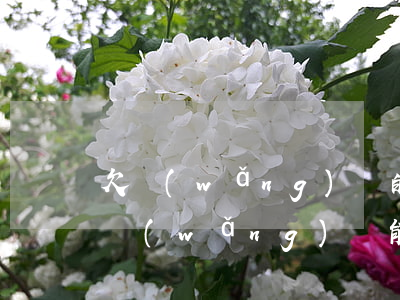 欠網(wǎng)貸的時候找什么工作好(欠網(wǎng)貸能找什么工作)