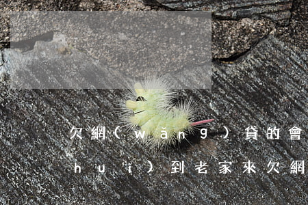 欠網(wǎng)貸的會(huì)不會(huì)到老家來（欠網(wǎng)貸會(huì)到家里調(diào)查嗎）