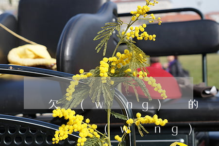 欠網(wǎng)貸的會(huì)成為老賴嗎(網(wǎng)貸會(huì)不會(huì)成為老賴)