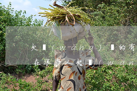 欠網(wǎng)貸的有嗎(現(xiàn)在很多人欠網(wǎng)貸嗎)