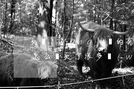 欠網(wǎng)貸的有錢(qián)了怎么還(欠了很多網(wǎng)貸 不知道怎么還了)