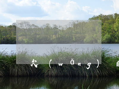 欠網(wǎng)貸的男友