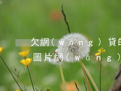 欠網(wǎng)貸的發(fā)信息過來圖片(網(wǎng)貸欠款圖片高清)
