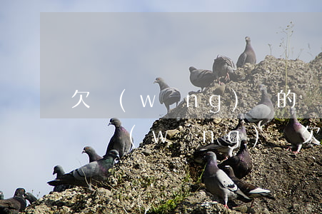欠網(wǎng)貸的確還不上慢慢還可以嗎(網(wǎng)貸欠款還不上)