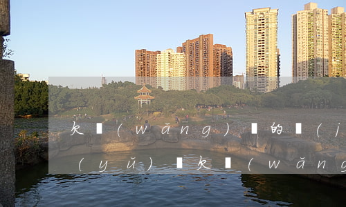 欠網(wǎng)貸的經(jīng)典語(yǔ)錄(欠網(wǎng)貸的說(shuō)說(shuō))
