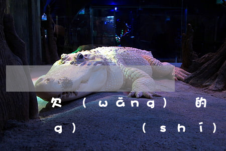 欠網(wǎng)貸的還不上(欠網(wǎng)貸確實(shí)還不了了怎么辦)