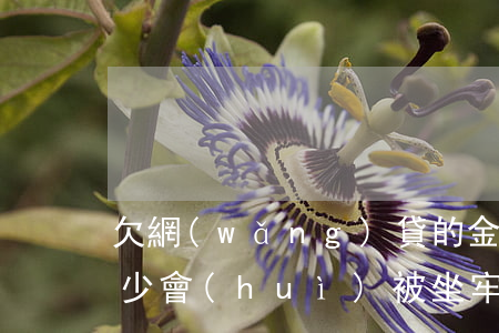 欠網(wǎng)貸的金額達(dá)到多少會(huì)被坐牢-欠網(wǎng)貸的金額達(dá)到多少會(huì)被坐牢呢