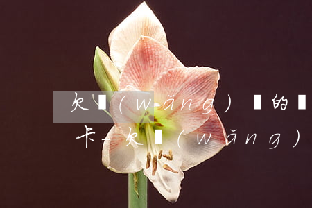 欠網(wǎng)貸的銀行卡怎么更換其它卡-欠網(wǎng)貸的銀行卡怎么更換其它卡號