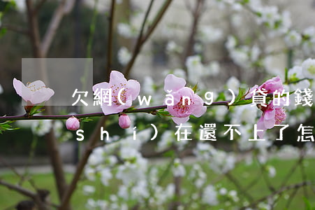 欠網(wǎng)貸的錢(qián)實(shí)在還不上了怎么辦(欠網(wǎng)貸確實(shí)還不了了怎么辦)