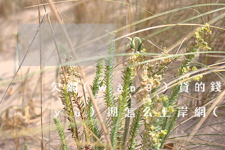 欠網(wǎng)貸的錢(qián)預(yù)期怎么上岸(網(wǎng)貸欠款5萬(wàn)怎么上岸)