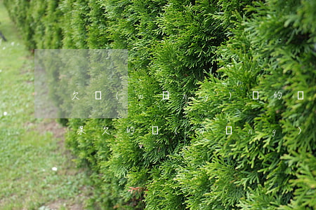 欠網(wǎng)貸的錢不還投訴也沒用(如果欠的網(wǎng)貸不還怎么辦)