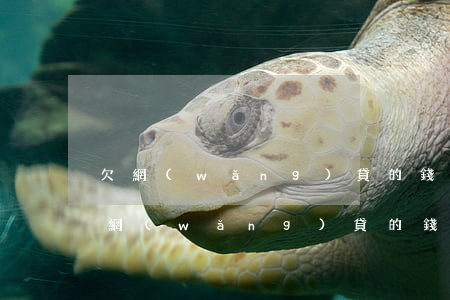 欠網(wǎng)貸的錢人死了還要還嗎(欠網(wǎng)貸的錢人死了要不要還)