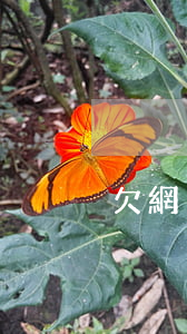 欠網(wǎng)貸的錢判幾年