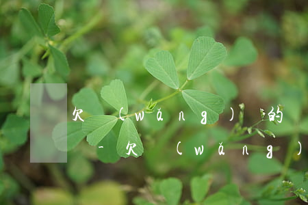 欠網(wǎng)貸的錢可以延期一年再還嗎-欠網(wǎng)貸的錢可以延期一年再還嗎知乎
