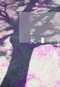 欠網(wǎng)貸的錢回家坦白了很多次了-欠網(wǎng)貸和家里坦白后
