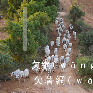 欠網(wǎng)貸的錢在銀行還能貸款嗎(欠著網(wǎng)貸銀行能貸到錢嗎)