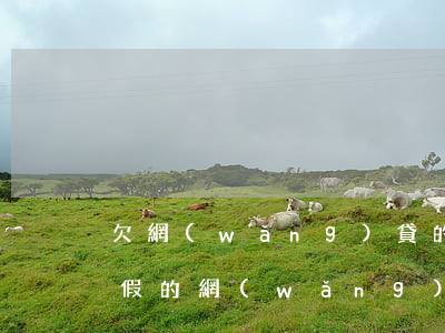 欠網(wǎng)貸的錢律師邀請函是真的假的(網(wǎng)貸不還律師函是真的假的)