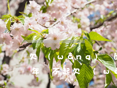 欠網(wǎng)貸的錢暫時(shí)2年還不起(欠網(wǎng)貸的錢暫時(shí)2年還不起)