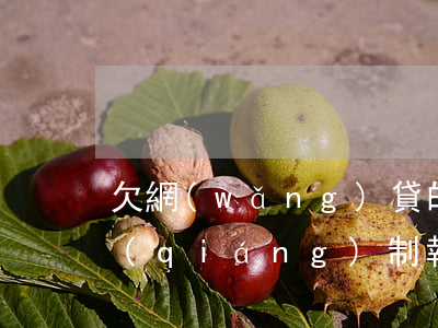 欠網(wǎng)貸的錢會(huì)被強(qiáng)制執(zhí)行嗎(欠網(wǎng)貸被起訴多久強(qiáng)制執(zhí)行)