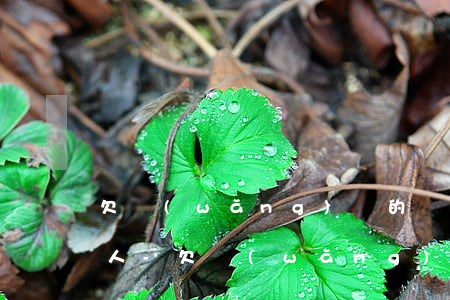 欠網(wǎng)貸的錢會不會起訴給家里人-欠網(wǎng)貸的錢會不會起訴給家里人呢