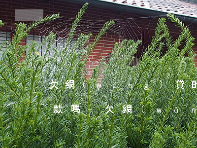 欠網(wǎng)貸的錢會扣我銀行卡的存款嗎-欠網(wǎng)貸的錢會扣我銀行卡的存款嗎安全嗎