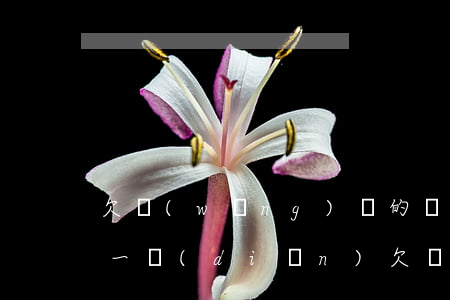 欠網(wǎng)貸的錢每個(gè)月還一點(diǎn)(欠網(wǎng)貸的錢每個(gè)月還一點(diǎn))