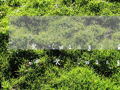 欠網(wǎng)貸的錢沒有能力還坐不坐牢-欠網(wǎng)貸沒錢還會(huì)坐牢嗎