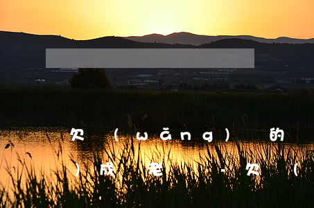 欠網(wǎng)貸的錢沒有還會(huì)成為老賴嗎-欠網(wǎng)貸的錢沒有還會(huì)成為老賴嗎知乎