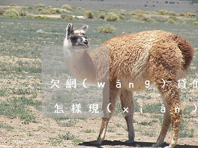 欠網(wǎng)貸的錢沒還會(huì)怎樣(現(xiàn)在欠網(wǎng)貸的錢是不是不用還了)