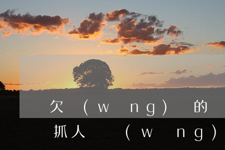 欠網(wǎng)貸的錢法院會(huì)抓人嗎(網(wǎng)貸欠款起訴會(huì)抓人嗎)