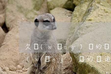 欠網(wǎng)貸的錢逾期會怎么樣(欠網(wǎng)貸的錢逾期會怎么樣)