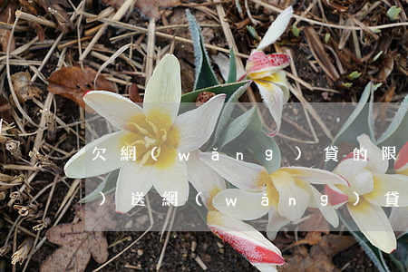 欠網(wǎng)貸的限行令由誰發(fā)送(網(wǎng)貸有權利限行嗎)