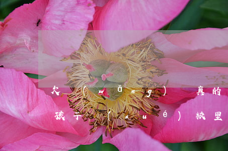 欠網(wǎng)貸真的會(huì)找到孩子學(xué)校里嗎-欠網(wǎng)貸真的會(huì)找到孩子學(xué)校里嗎知乎