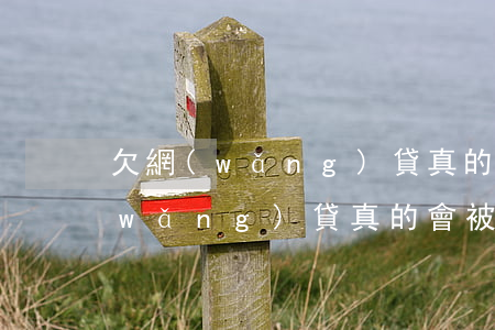 欠網(wǎng)貸真的會被外訪嗎(欠網(wǎng)貸真的會被外訪嗎)
