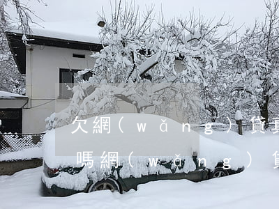 欠網(wǎng)貸真的還不起有什么后果嗎(網(wǎng)貸欠款不還會怎么樣)