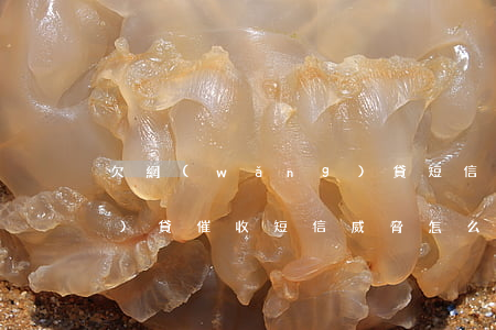 欠網(wǎng)貸短信威脅(網(wǎng)貸催收短信威脅怎么辦)