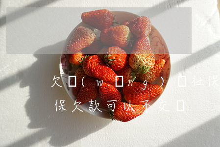 欠網(wǎng)貸社保交不了什么原因(社保欠款可以不交嗎)