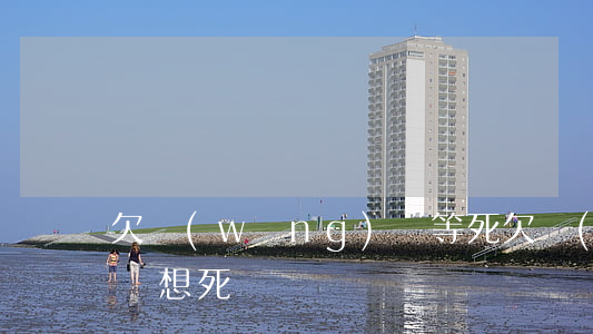 欠網(wǎng)貸等死(欠網(wǎng)貸想死)