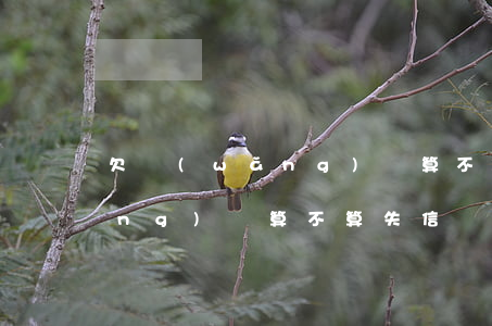 欠網(wǎng)貸算不算失信(欠網(wǎng)貸算不算失信)