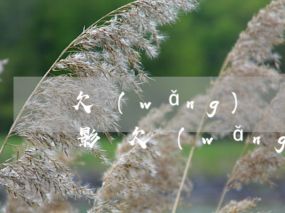 欠網(wǎng)貸結(jié)婚有什么影響(欠網(wǎng)貸有什么后果)