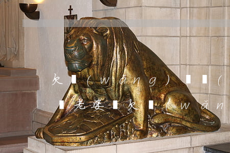 欠網(wǎng)貸結(jié)婚用會影響老婆嗎(欠網(wǎng)貸會影響老婆和孩子嗎)