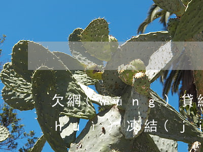 欠網(wǎng)貸經(jīng)偵會(huì)凍結(jié)所有賬戶嗎
