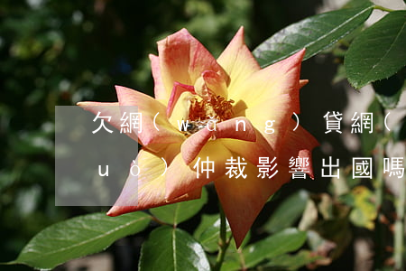 欠網(wǎng)貸網(wǎng)絡(luò)仲裁影響出國嗎(欠網(wǎng)貸能辦簽證出國嗎)