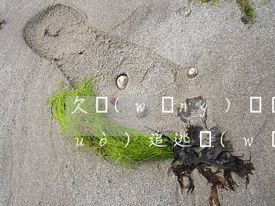 欠網(wǎng)貸網(wǎng)絡(luò)追逃(網(wǎng)貸追逃最新名單)