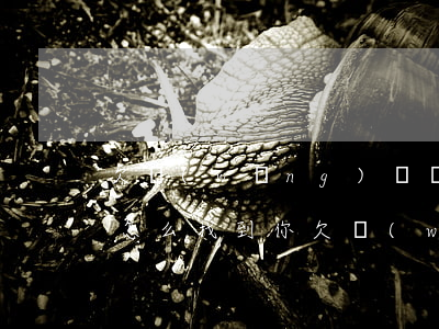 欠網(wǎng)貸網(wǎng)貸公司怎么找到你(欠網(wǎng)貸不還會(huì)找到你公司嗎)