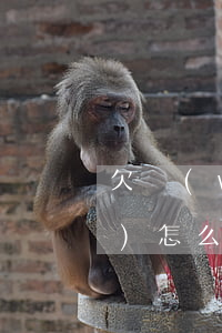 欠網(wǎng)貸總共有50萬(wàn)怎么給家人交代-欠網(wǎng)貸總共有50萬(wàn)怎么給家人交代還款